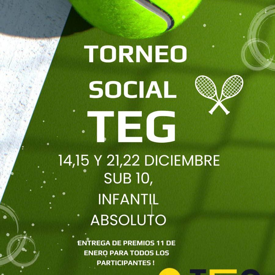 Torneo Social TEG Navidad 2024